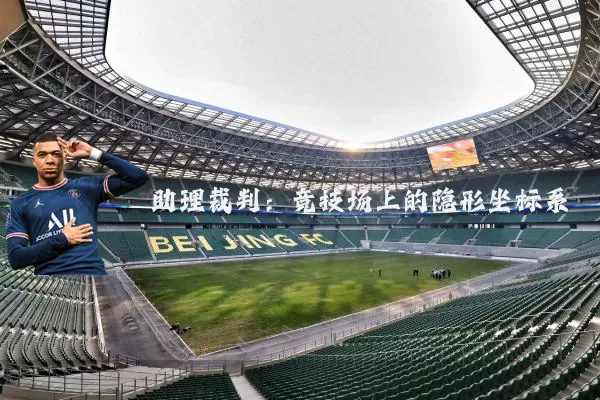助理裁判：竞技场上的隐形坐标系